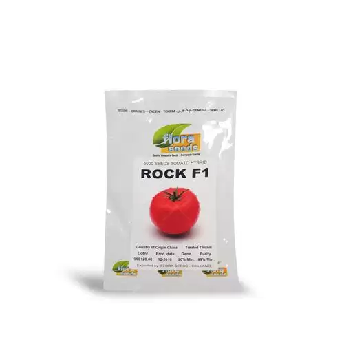 قیمت خرید بذر گوجه فرنگی راک در شیراز در گروه خرید و فروش بذر گوجه در یکمیوه -عکس1