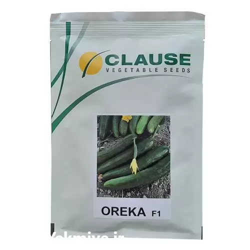 بذر خیار بوته ای پرفروش اورکا در گروه خرید و فروش بذر خیار در یکمیوه -عکس1