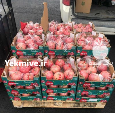 قیمت انار صادراتی شیراز سال 1402 در گروه خرید و فروش انار در یکمیوه -عکس1