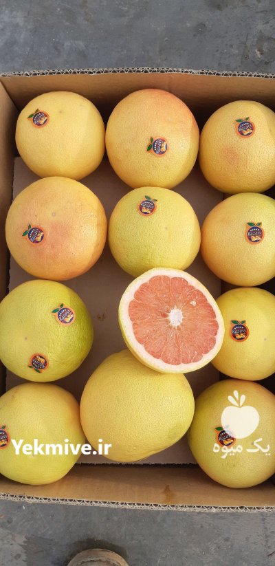 گریپ فروت صادراتی در بازار ایران در داراب در گروه خرید و فروش گریپ فروت در یکمیوه -عکس2