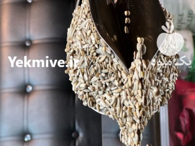 تخمه آفتابگردان در تهران در گروه خرید و فروش انواع تخمه در یکمیوه -عکس2