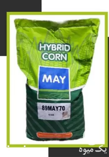 قیمت خرید بذر ذرت علوفه ای در یزد در گروه خرید و فروش علوفه در یکمیوه -عکس1