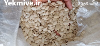 تخمه کدوو گوشتی ایرانی و خارجی در گروه خرید و فروش انواع تخمه در یکمیوه -عکس1