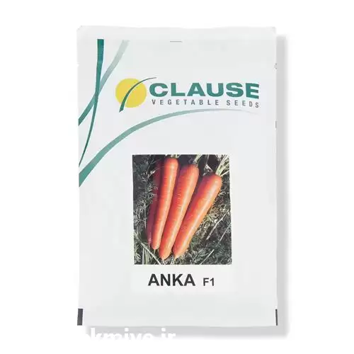 فروش بذر هویج آنکا در گروه خرید و فروش بذر هویج در یکمیوه -عکس1