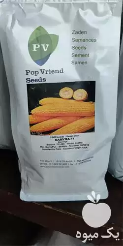 خرید بذر ذرت سمیرا اصل در یزد در گروه خرید و فروش بذر ذرت در یکمیوه -عکس1