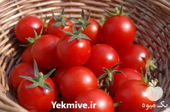 فروش بذر گوجه زیتونی سانتلا در تبریز در گروه خرید و فروش زیتون در یکمیوه -عکس1