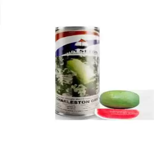 فروش بذر هندوانه چارلستون گری رین در تبریز در گروه خرید و فروش بذر هندوانه در یکمیوه -عکس1