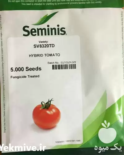 قیمت خرید بذر گوجه فرنگی تی در تهران در گروه خرید و فروش بذر گوجه در یکمیوه -عکس1