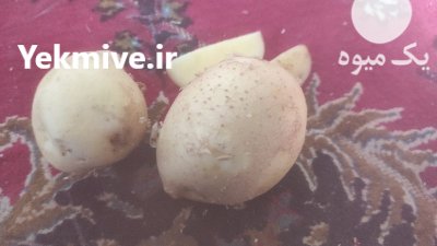 سیب زمینی خوراکی پاییزه بامبا در گروه خرید و فروش سیب زمینی در یکمیوه -عکس3