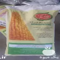 فروش بذر ذرت 704 مغان در اهواز در گروه خوراک دام و طیور در یکمیوه