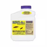 فروش سم سوسک کش تخصصی ریپلزال در اهواز در گروه خرید و فروش انواع سم در یکمیوه