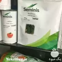 فروش بذر خیار سمینیس در مشهد در گروه خرید و فروش بذر خیار در یکمیوه