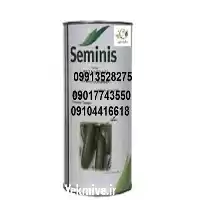 قیمت خرید بذر خیار ویلمورین در شیراز در گروه خرید و فروش بذر خیار در یکمیوه