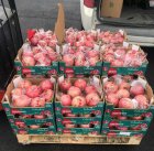 قیمت انار صادراتی شیراز سال 1402 در گروه خرید و فروش انار در یکمیوه