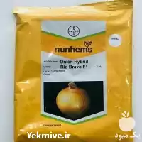 فروش بذر پیاز در مشهد در گروه خرید و فروش بذر پیاز در یکمیوه