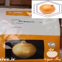فروش بذر پیاز ریو براوو F 1 در قم در گروه خرید و فروش بذر پیاز در یکمیوه