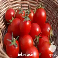 فروش بذر گوجه زیتونی سانتلا در تبریز در گروه خرید و فروش زیتون در یکمیوه