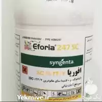 فروش سم حشره کش افوریا در شیراز در گروه خرید و فروش انواع سم در یکمیوه