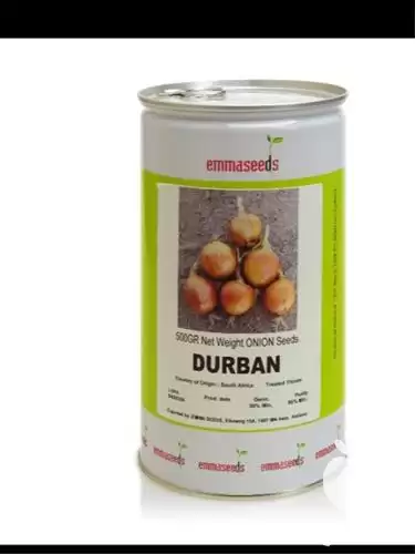 قیمت خرید بذر پیاز زرد دوربان در گروه خرید و فروش انواع بذر در یکمیوه -عکس1