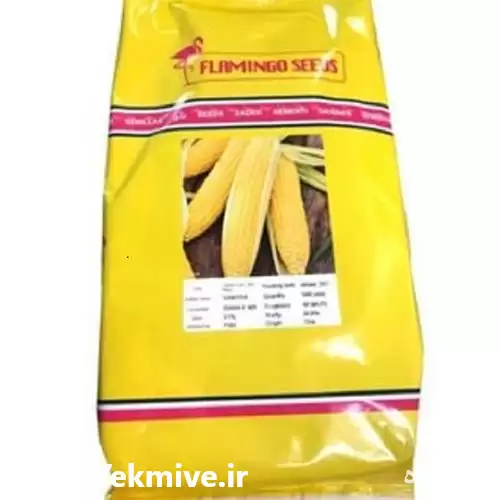 فروش عرضه بذر ذرت شیرین سمیرا در گروه خرید و فروش ذرت در یکمیوه -عکس1