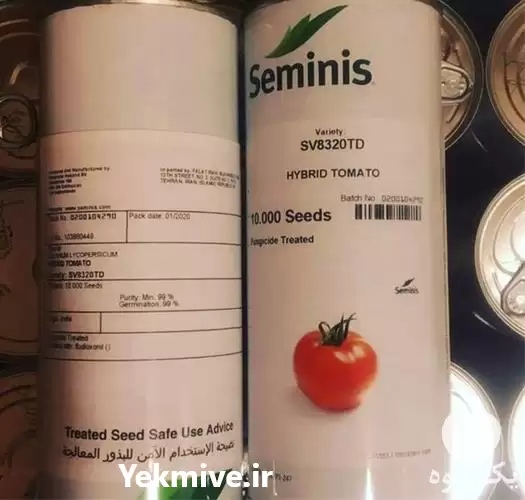 قیمت خرید عرضه بذر گوجه فرنگی در تهران در گروه خرید و فروش بذر گوجه در یکمیوه -عکس1