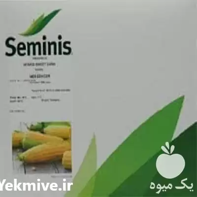 فروش بذر ذرت مسنجر با کیفیت در کرمان  در گروه خرید و فروش بذر ذرت در یکمیوه -عکس1