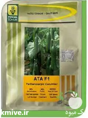 فروش بذر خیار اریا در بوشهر در گروه خرید و فروش بذر خیار در یکمیوه -عکس1