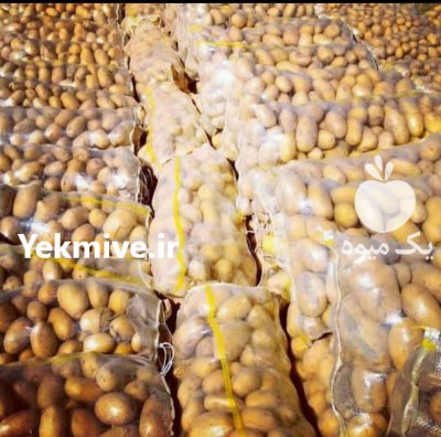 فروش سیب زمینی آنلاین در اردبیل در گروه خرید و فروش سیب زمینی در یکمیوه -عکس2