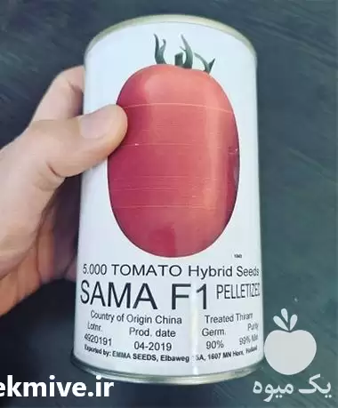 قیمت خرید بذر گوجه فرنگی سما در کرمان  در گروه خرید و فروش بذر گوجه در یکمیوه -عکس1