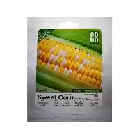 فروش بذر ذرت شیرین اکسشن سینجنتا در شیراز در گروه خرید و فروش بذر ذرت در یکمیوه