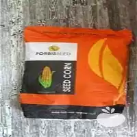 قیمت خرید بذر ذرت ماکا اصل در اصفهان در گروه خرید و فروش انواع بذر در یکمیوه