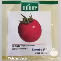 فروش بذر ثمین هیبرید در اهواز در گروه خرید و فروش گوجه فرنگی در یکمیوه