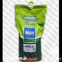 قیمت خرید بذر ذرت مای در شیراز در گروه خرید و فروش بذر ذرت در یکمیوه