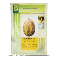 قیمت خرید بذر خربزه سوفیا F 1 در تهران در گروه خرید و فروش بذر خربزه در یکمیوه