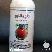 قیمت خرید سم قارچ کش تاچیگارن در شیراز در گروه خرید و فروش انواع سم در یکمیوه