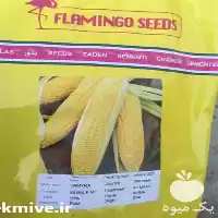 فروش ویژه بذر ذرت سمیرا محصول در گروه خرید و فروش بذر ذرت در یکمیوه