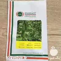 قیمت خرید عرضه بذر خیار گلخانه در تهران در گروه خرید و فروش بذر خیار در یکمیوه