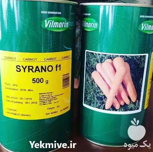 فروش بذر هویج سیرانو کیفیت عالی در اهواز در گروه خرید و فروش بذر هویج در یکمیوه -عکس1