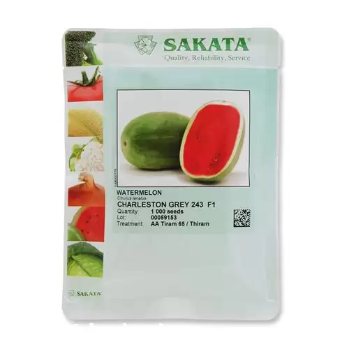 فروش بذر هندوانه چارلستون گری 243 در کرمان  در گروه خرید و فروش بذر هندوانه در یکمیوه -عکس1