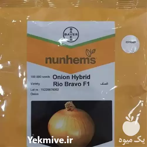 قیمت خرید انواع بذر پیاز در کرمان  در گروه خرید و فروش بذر پیاز در یکمیوه -عکس1