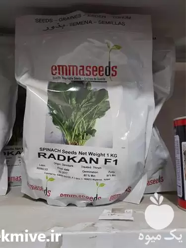 قیمت خرید بذر اسفناج در تبریز در گروه خرید و فروش انواع بذر در یکمیوه -عکس1