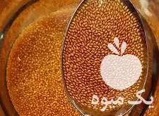 خرید فروش عمده انواع خاکشیر شرکت در بروجرد در گروه خرید و فروش گیاهان دارویی در یکمیوه -عکس1