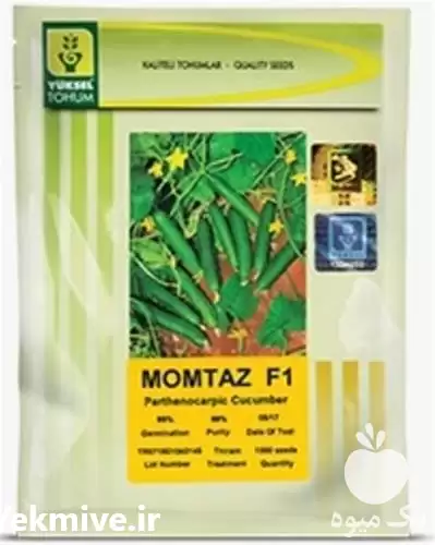 فروش بذر خیار ممتاز در گروه خرید و فروش بذر خیار در یکمیوه -عکس1