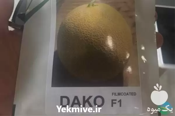 قیمت خرید عمده بذر ملون داکو در کرمان  در گروه خرید و فروش بذر ملون در یکمیوه -عکس1