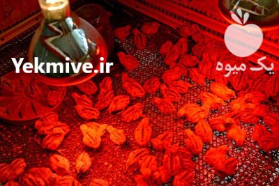 لامپ مادون قرمز حرارتی 250 در اصفهان در گروه تجهیزات مرغداری در یکمیوه -عکس1