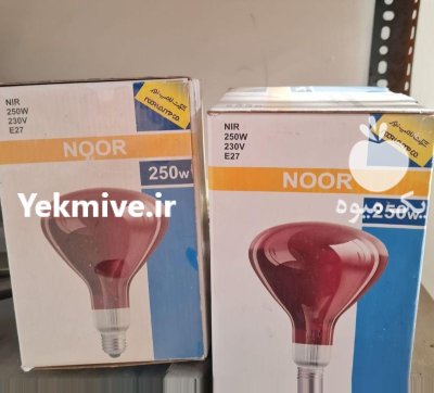 لامپ مادون قرمز حرارتی 250 در اصفهان در گروه تجهیزات مرغداری در یکمیوه -عکس2