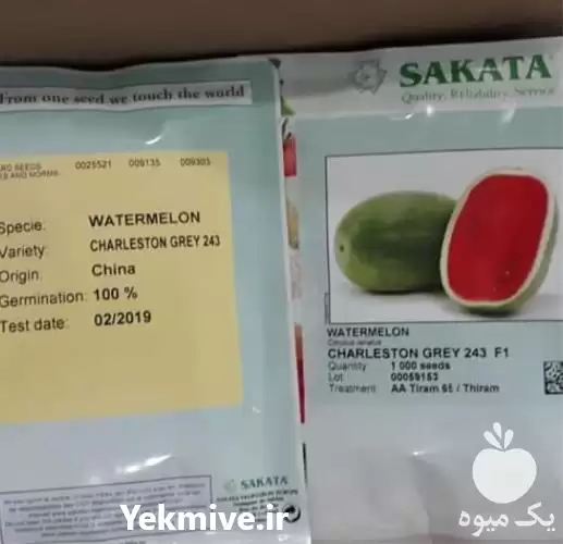 فروش عرضه بذر هندوانه چارلستون در گروه خرید و فروش بذر هندوانه در یکمیوه -عکس1