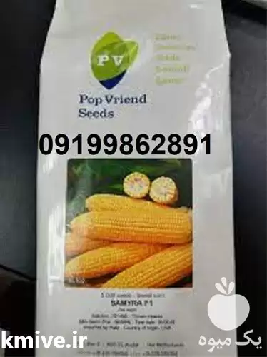 قیمت خرید قیمت بذر ذرت سمیرا در گروه خرید و فروش ذرت در یکمیوه -عکس1