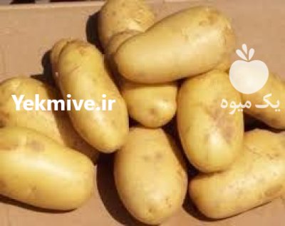 سیب زمینی آنلاین در اردبیل در گروه خرید و فروش سیب زمینی در یکمیوه -عکس1