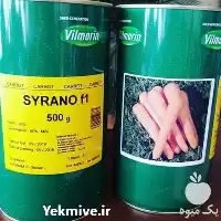 فروش بذر هویج سیرانو کیفیت عالی در اهواز در گروه خرید و فروش بذر هویج در یکمیوه